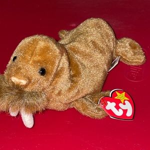 Walrus 1999 Beanie baby
